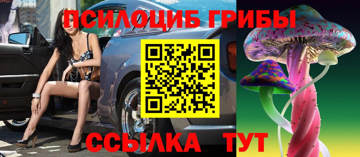 Кингисепп  Псилоцибиновые грибы мицелий  Вход с VPN 